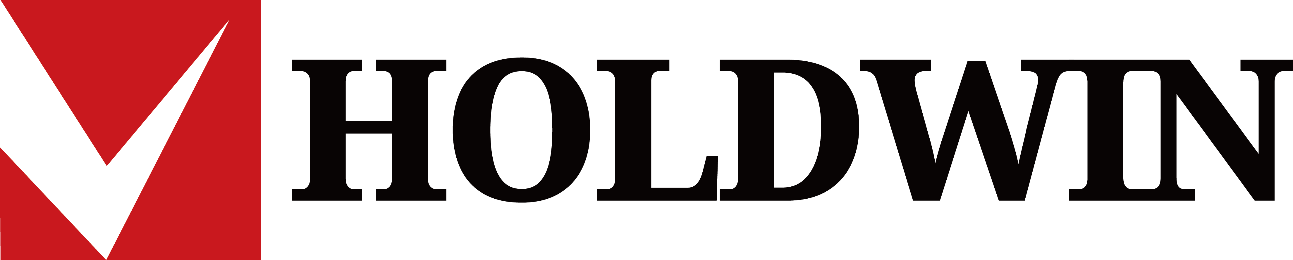zyholdwin.com